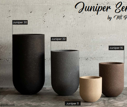 Editorial Planter Pot & Vessel